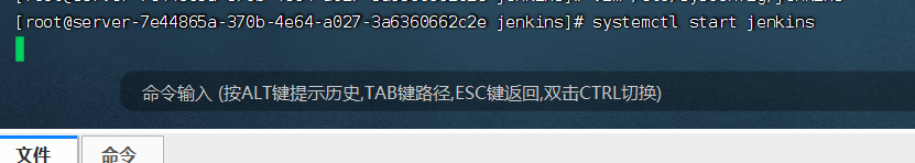 PJK-linux安装jenkins（centos7.6）_重启_05