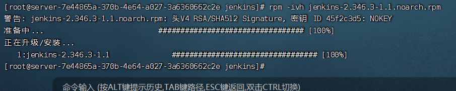 PJK-linux安装jenkins（centos7.6）_重启_03