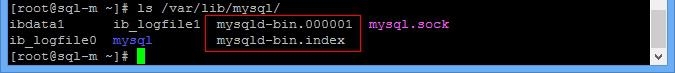 mysql parallel mysqlparallelsource_mysql_15