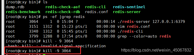 redis 从硬盘读写 redis磁盘_缓存_03