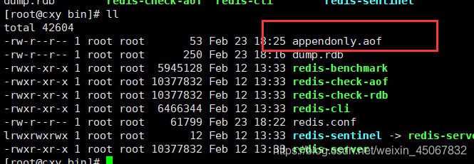 redis 从硬盘读写 redis磁盘_数据_15