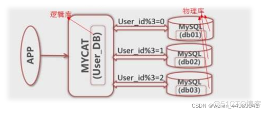 mysql分表分库查询 mysql 分库分表实现_数据库服务器_03