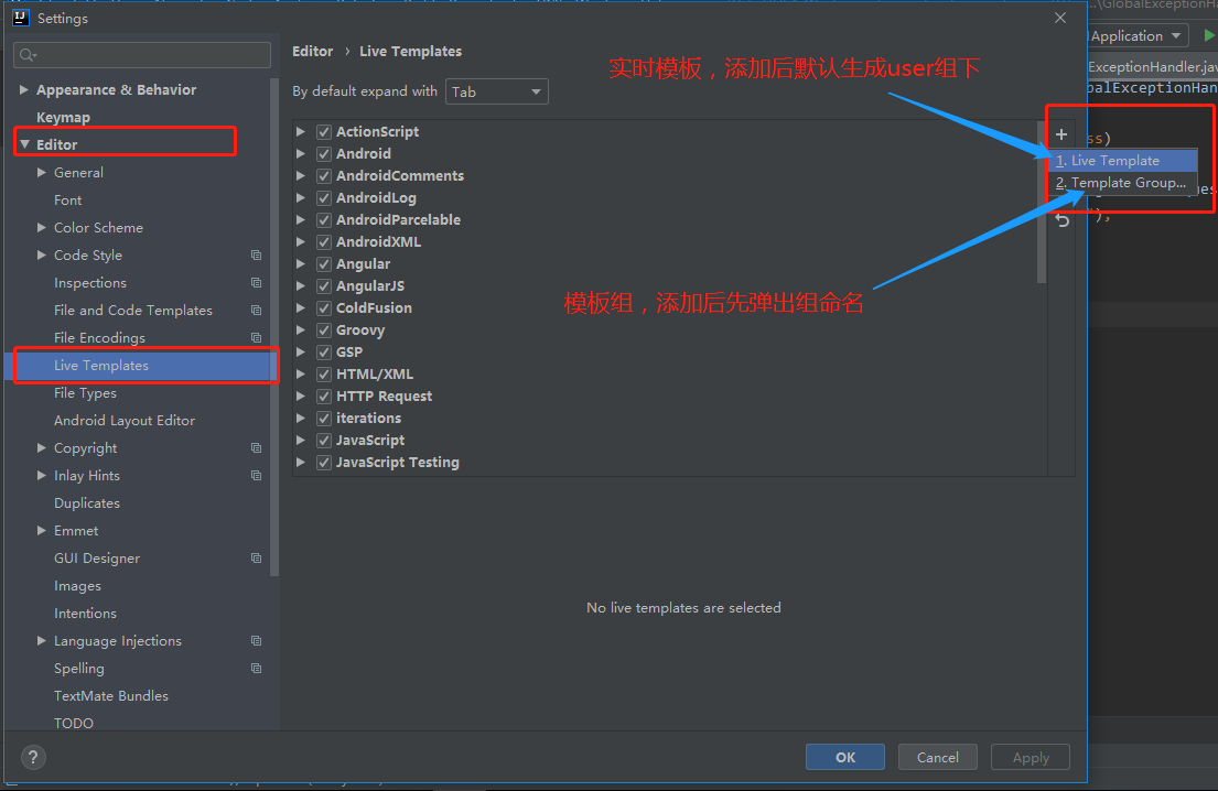 java自定义状态码 java自定义模板_自定义_02