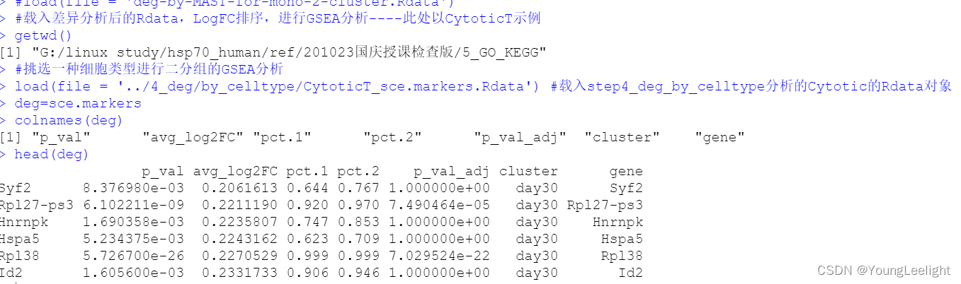 R语言做gsea分析 Hallmarker R语言gsea代码_jowvid的技术博客_51CTO博客