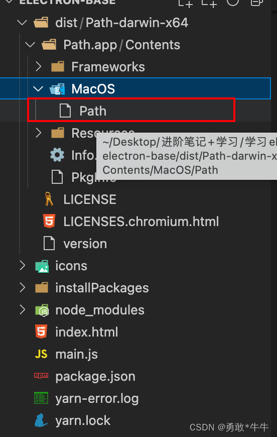 electron的electron-packager打包运行和electron-builder生产安装包过程，学透 Electron 自定义 Dock 图标_前端_03