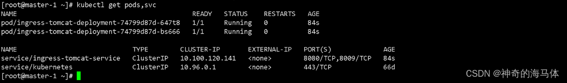 【Kubernetes部署篇】ingress-nginx高可用架构实施部署_HTTP_05