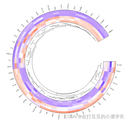 R语言 circos热图 如何用r语言做热图_开发语言_06