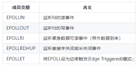 RT-DETR：可以满足实时性要求的DETR模型_文件描述符_02