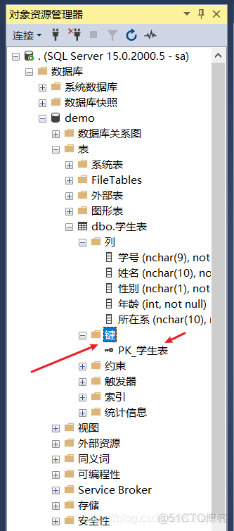 sql server项目实战 sql server使用教程_主键_19