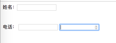 ios label 限制html label html5_提交表单