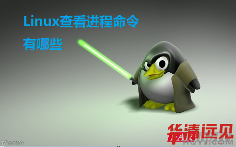 linux查看已启动的java服务是否正常 linux查看启动的进程_分割字符串