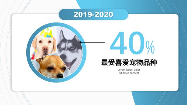 android 饼状图动画 饼状图 美化_数据_30