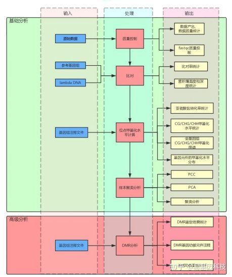 分子测序R语言 rrbs测序_ci_03