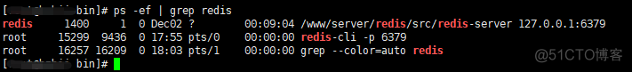 redis配环境变量 redis 环境变量_redis_07