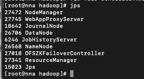 hadoop 的部署 hadoop的部署安装通过_Hadoop_02