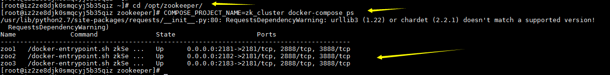 elk集群docker docker zookeeper集群_Docker_12