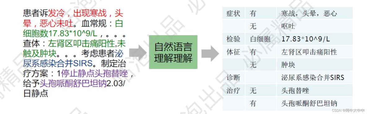 知识图谱在java中的应用 知识图谱用到的技术_知识图谱在java中的应用_02