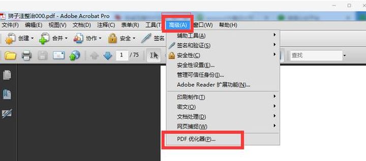 java 压缩pdf预览 java pdf压缩到最小_Adobe_04