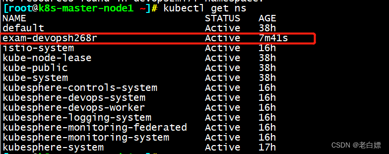 kubernetes 部署工具 kubesphere部署应用_运维_16