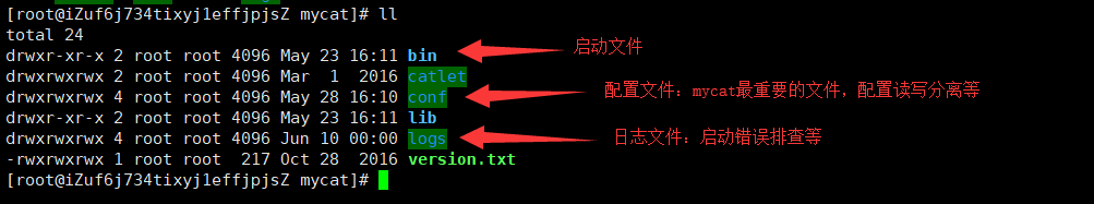 golang mysql 读写分离 mysql读写分离搭建_mysql