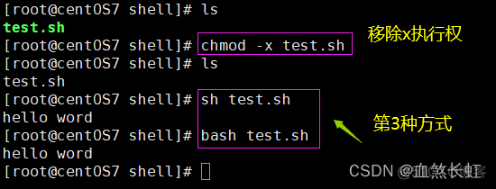 脚本语言shell,python 脚本语言的执行方式_开发语言_02