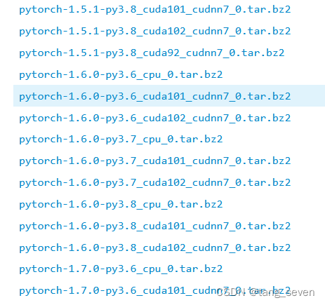 pytorch部署 pytorch部署方法_压缩包_04