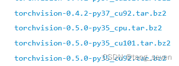 pytorch部署 pytorch部署方法_深度学习_05