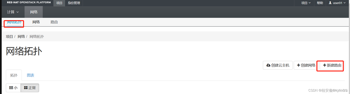 openstack管理平台 openstack管理网络_openstack管理平台_17
