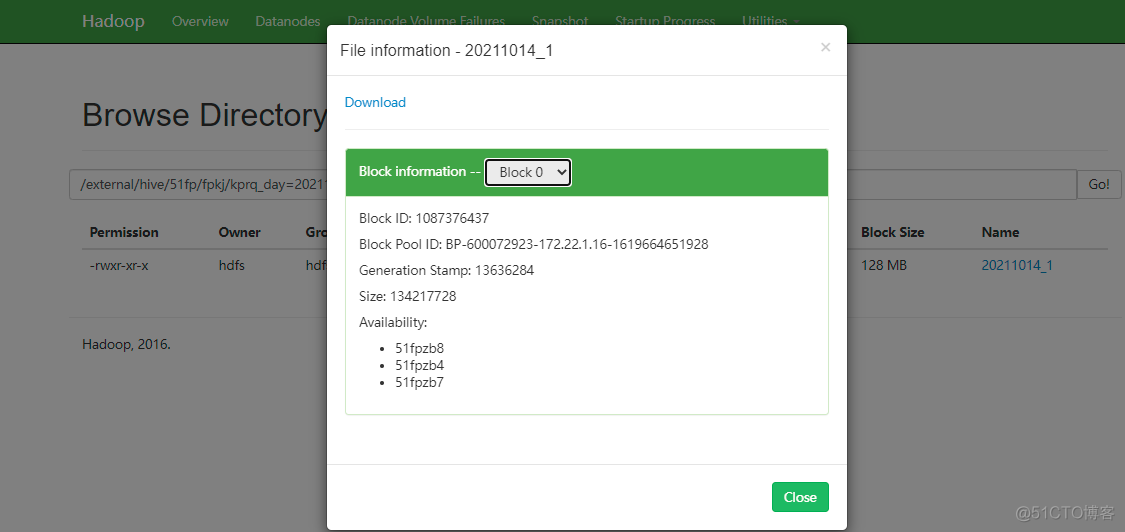 hadoop namenode datanode hadoop namenode datanode 域名解析_hdfs_02