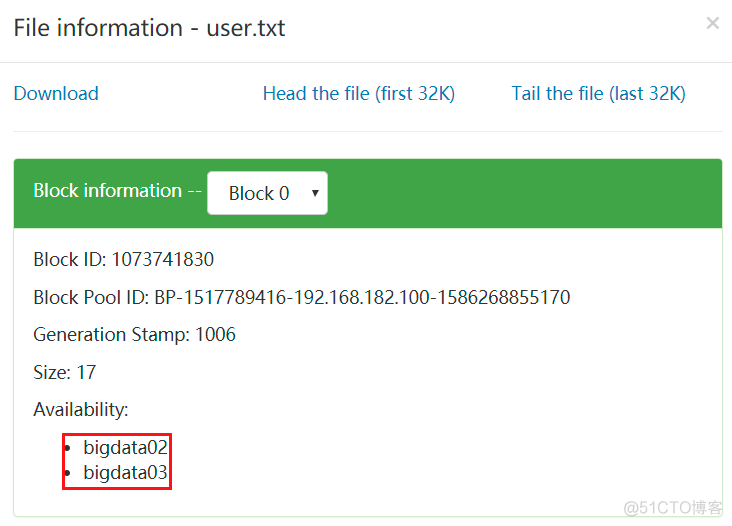 hadoop namenode datanode hadoop namenode datanode 域名解析_上传_12