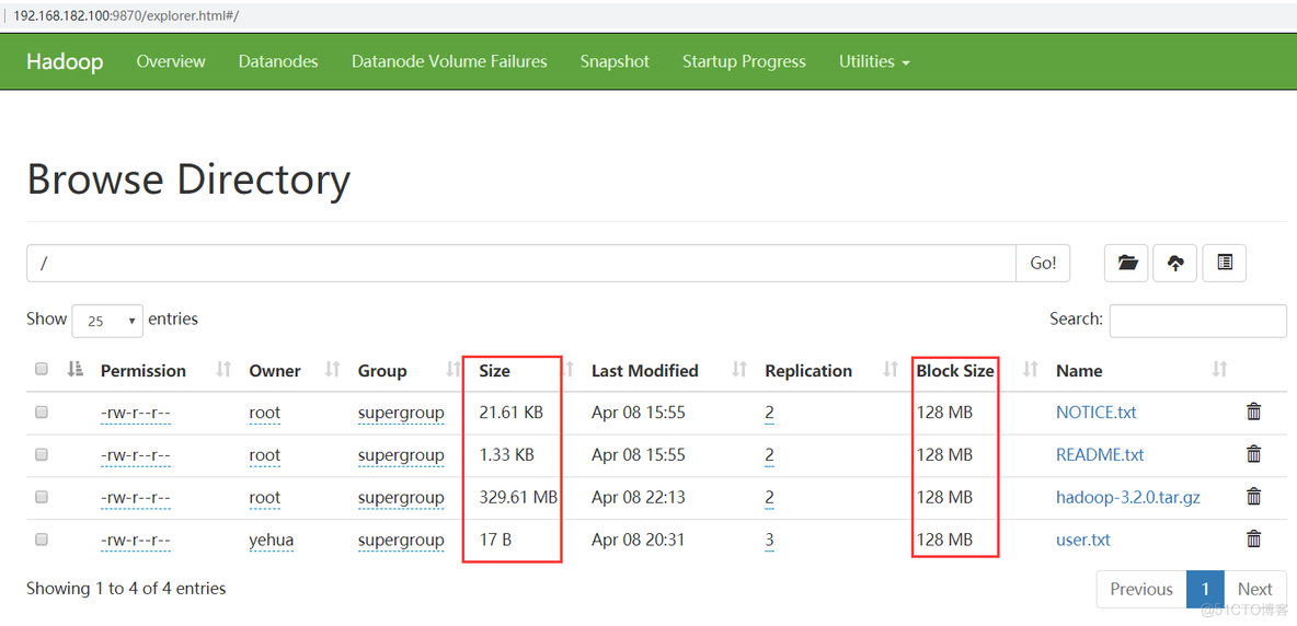 hadoop namenode datanode hadoop namenode datanode 域名解析_元数据_14