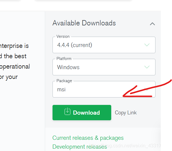 win10安装mongodb教程 windows下安装mongodb_自定义_02