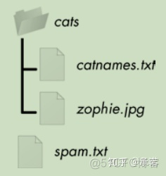 python读zip包里的内容 python 读取zip中的文件_归档文件