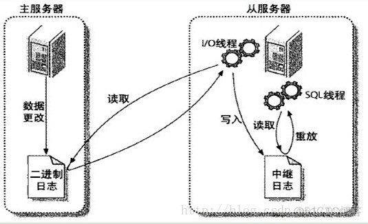 mysql 主从复制模式 mysql主从复制_服务器_02