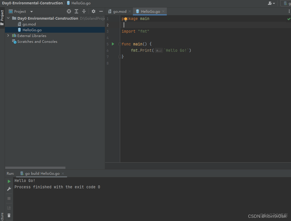 100天精通Golang（基础入门篇）——第0天：安装Go语言开发环境的基础教程，带你学习Golang之Hello Go!_go_15