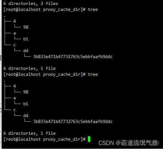 Nginx使用proxy_cache指令设置反向代理缓存静态资源_缓存_06