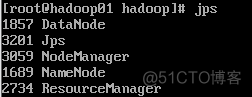 VMware搭建Hadoop集群 for Windows（完整详细，实测可用）_大数据_71