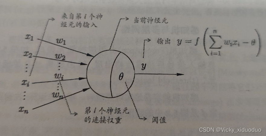 神经网络 java 神经网络的神经元_激活函数