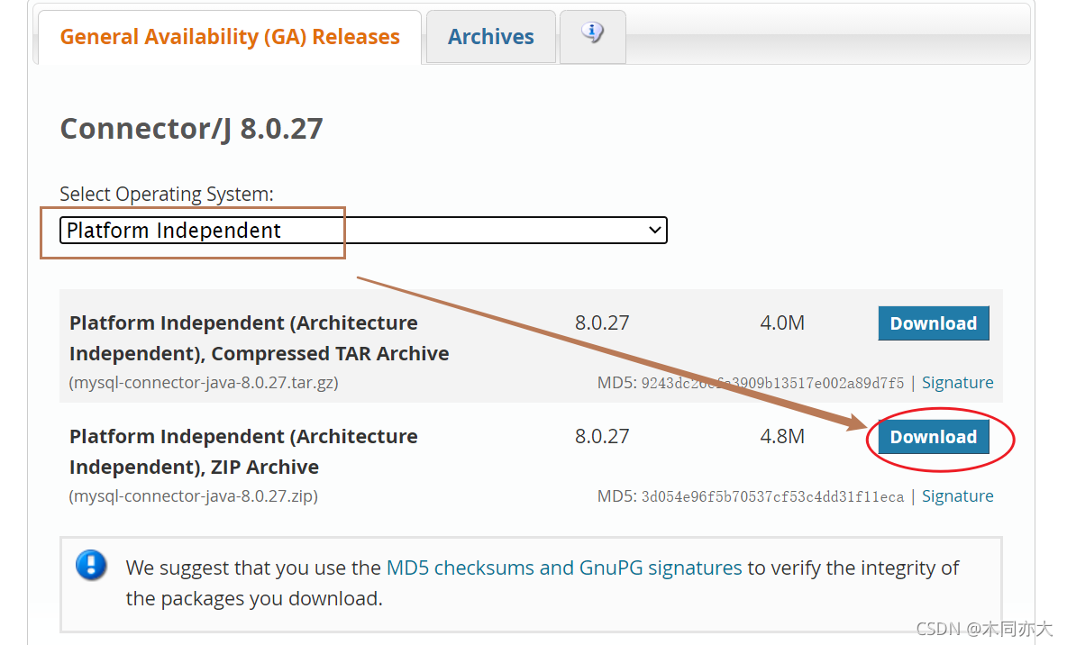 java如何连接sql server java如何连接navicat_java_02