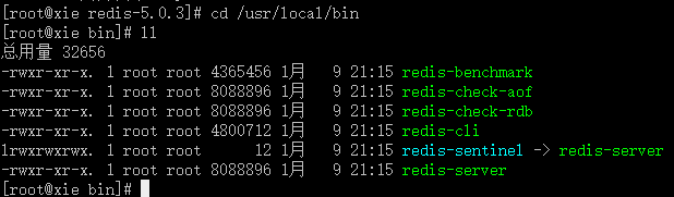 redis安装后在哪个目录中 redis安装在linux哪个目录_redis_03