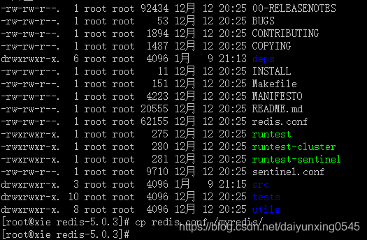 redis安装后在哪个目录中 redis安装在linux哪个目录_Redis_05