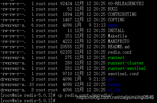 redis安装后在哪个目录中 redis安装在linux哪个目录_redis安装后在哪个目录中_05