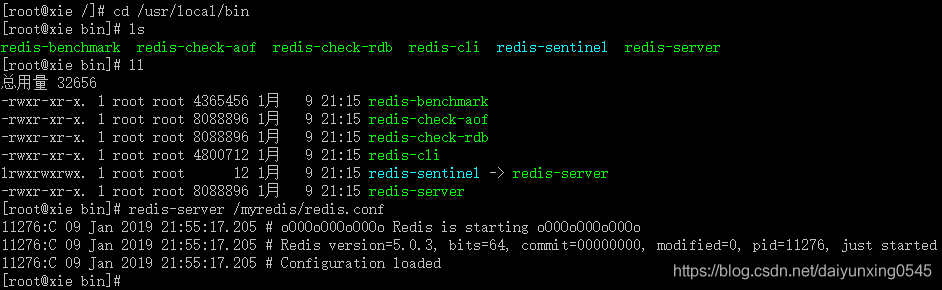 redis安装后在哪个目录中 redis安装在linux哪个目录_redis安装后在哪个目录中_09