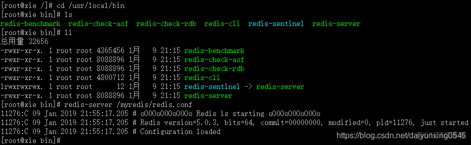 redis安装后在哪个目录中 redis安装在linux哪个目录_Redis_09