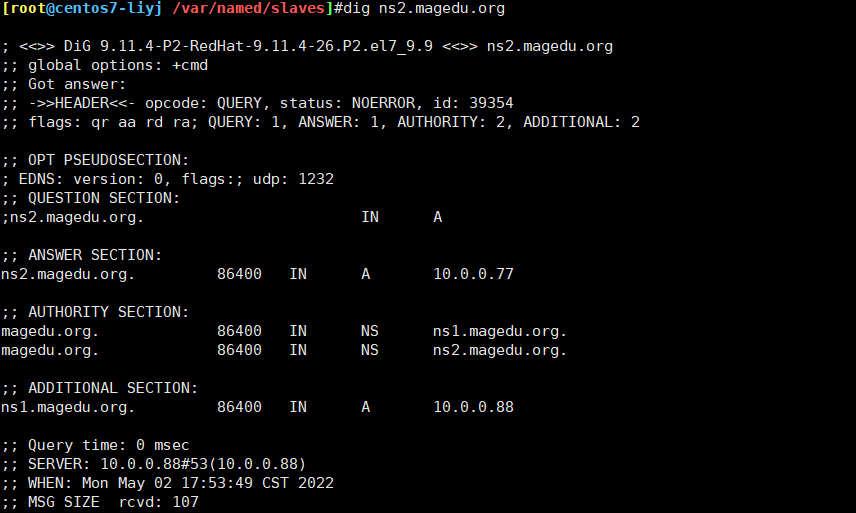 dns bind架构 dns bind软件_DNS域名_18