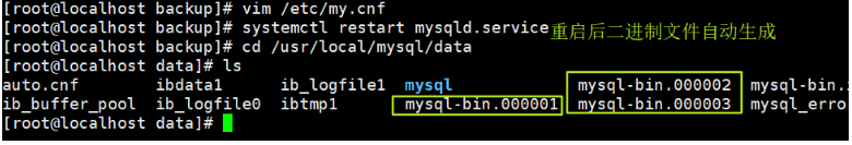 mysql启动错误 mysql启动错误日志配置_sql_14