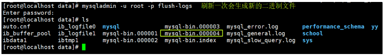 mysql启动错误 mysql启动错误日志配置_数据库_15