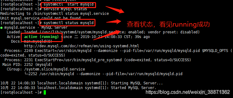 MySQL忘记密码修改 mysql密码忘记了怎么修改_MySQL_03