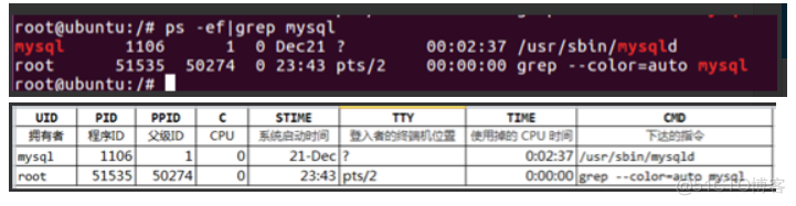 ubuntu查看python Ubuntu查看进程命令_应用程序