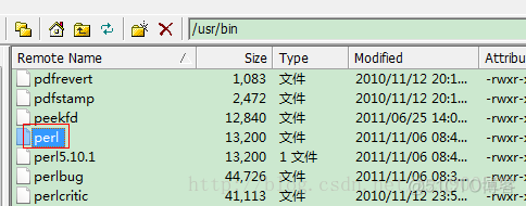 perl如何运行执行脚本_脚本_02